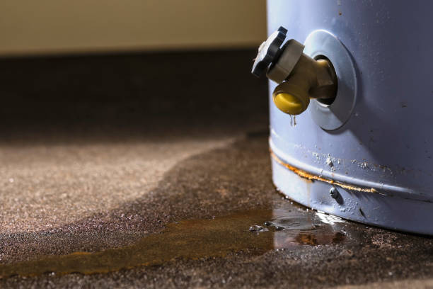 Water damage restoration mold remediation in IL