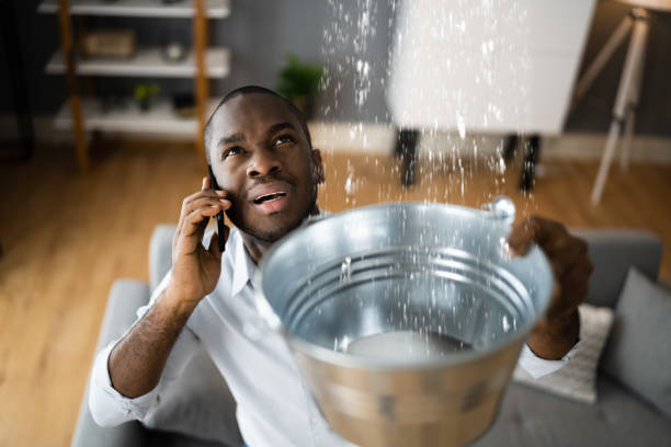 Best 24/7 water damage repair  in Marshall, IL