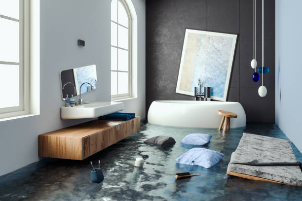 Best Residential water damage restoration  in Marshall, IL