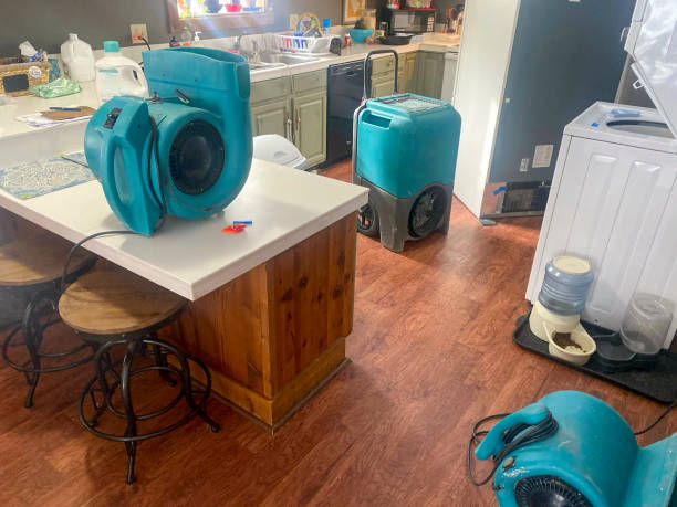 Best Water damage restoration mold remediation  in Marshall, IL