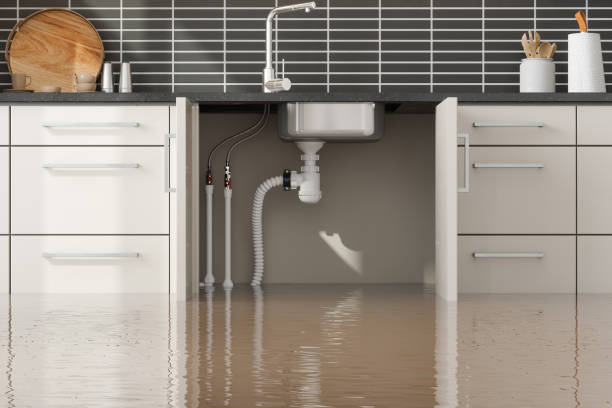 Best Water damage cleanup near me  in Marshall, IL