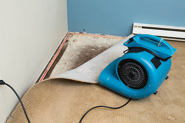 Best Flooded house restoration  in Marshall, IL